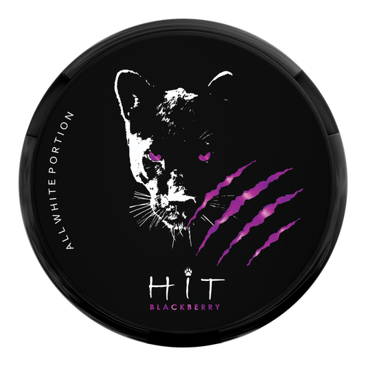 Hit DDG Nic Pouches Blackberry
