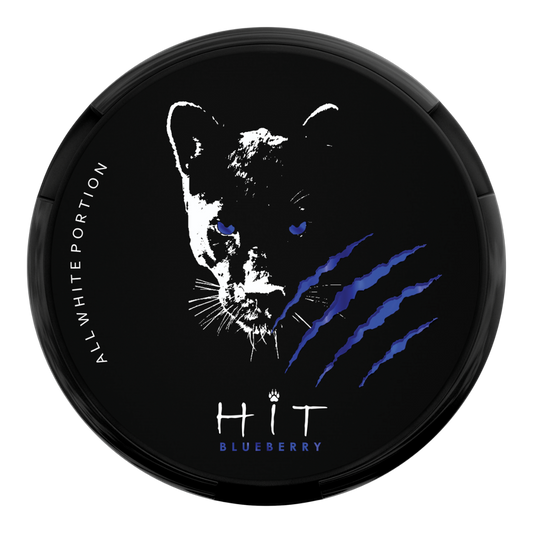 Hit DDG Nic Pouches Blueberry