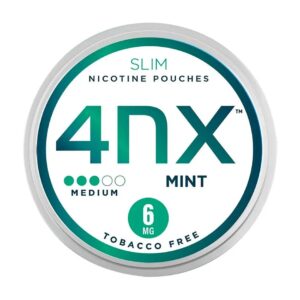 4NX Nic Pouches Mint - 6mg