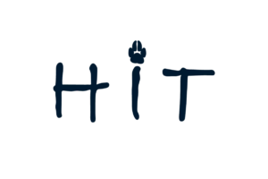 Hit DGG