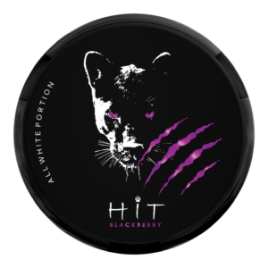 Hit DDG Nic Pouches Blackberry