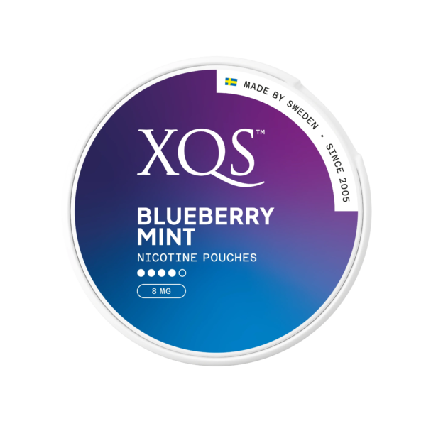 Blueberry_Mint_top XQS Nicotine Pouches Blueberry Mint