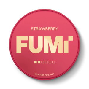 FUMI Tangy Strawberry Regular